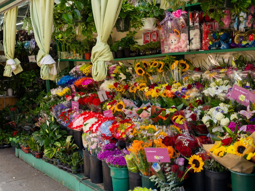 A vibrant floral display at West Brompton markets and flower stalls, featuring a variety of fresh flowers including bright yellow sunflowers, white lilies, red roses, purple and pink chrysanthemums, a